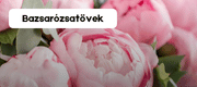 szkk.ro