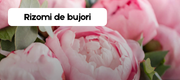 szkk.ro